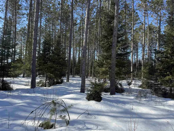 Lot 92 Haakon Ln, Hayward, WI 54843-0000