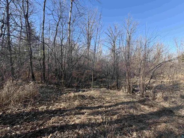 xxx Grove Ave, Moose Lake, MN 55767