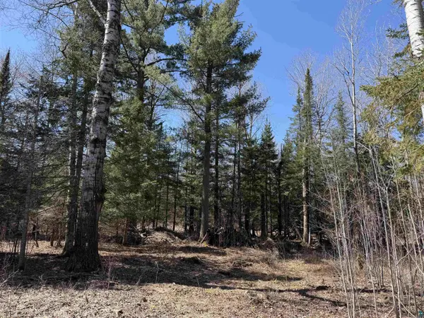 115 Marks Rd, Esko, MN 55733