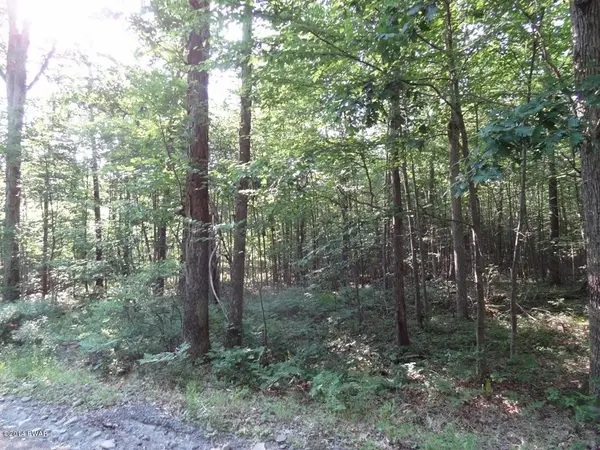 3 Franks RD, Hawley, PA 18428