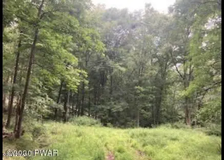 Lot 24 & 25 Blossom RD, Lackawaxen, PA 18435