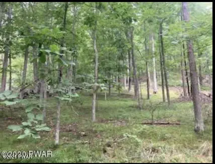 Lot 24 & 25 Blossom RD, Lackawaxen, PA 18435