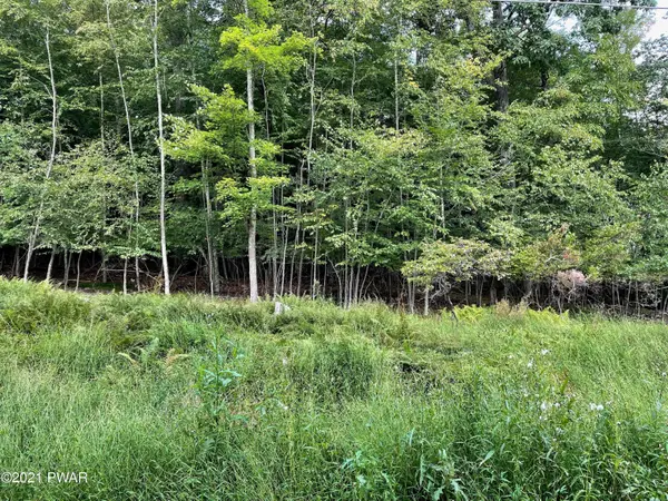 Lot 452 Peachtree LN, Milford, PA 18337