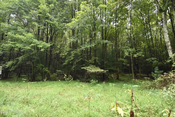 Milford Rd Lot 4B, Dingmans Ferry, PA 18328