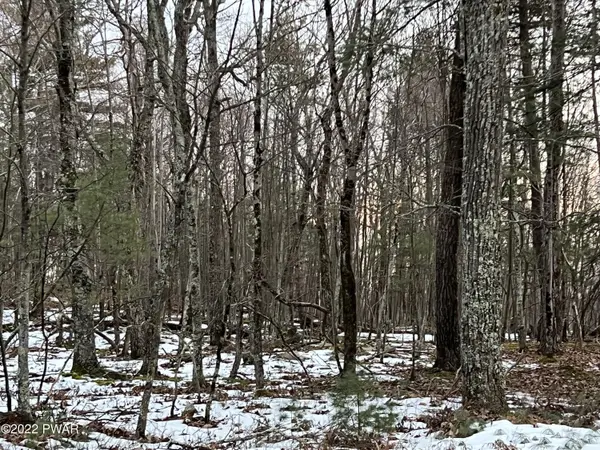 134 Falling Waters BLVD, Lackawaxen, PA 18435
