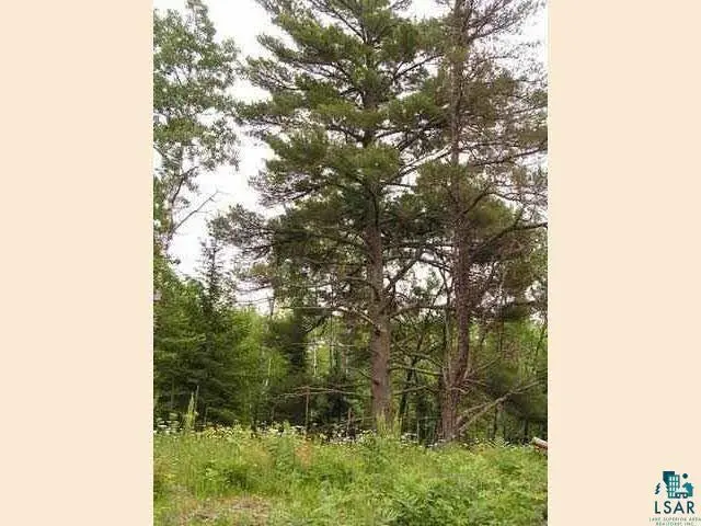 1687 Golden Ridge Tr, Ely, MN 55731