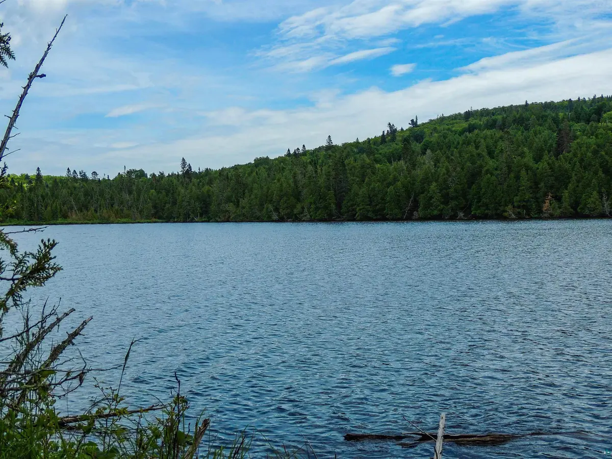 210 E Deeryard Lake Rd, Lutsen, MN 55612