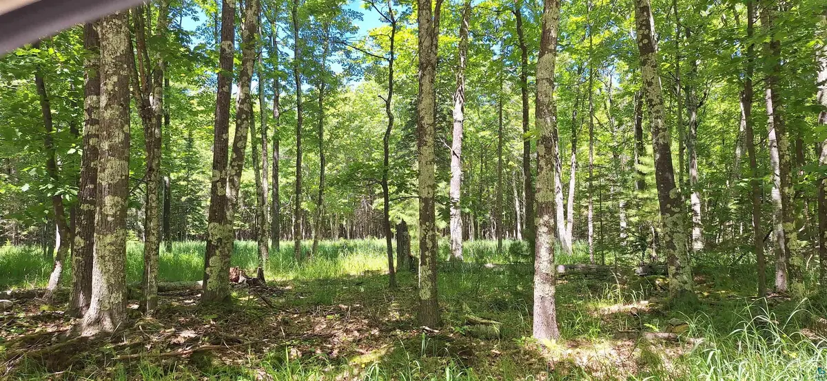 xxx South Shore Rd, La Pointe, WI 54850