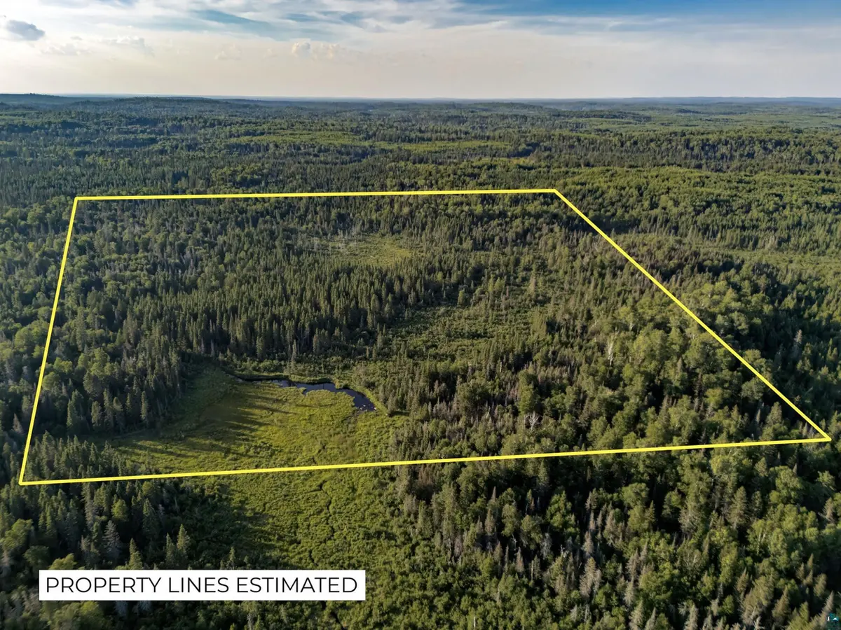 TBD Hoist Lake Rd, Finland, MN 55603