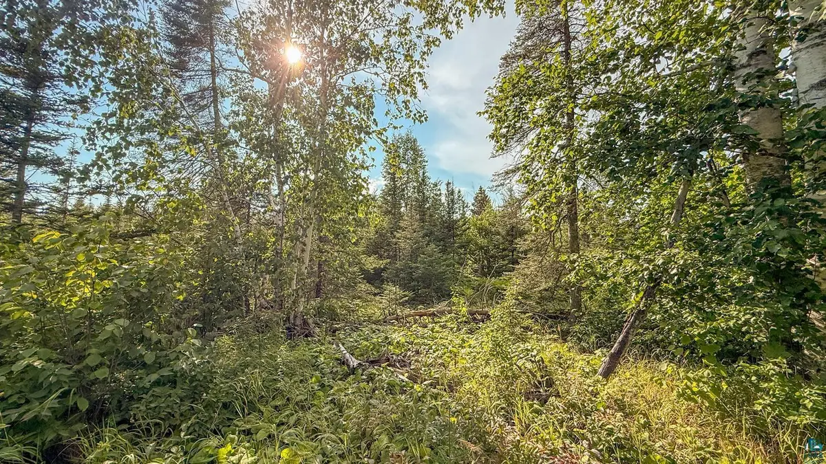 XXX1 Mink Ranch, Lutsen, MN 55612