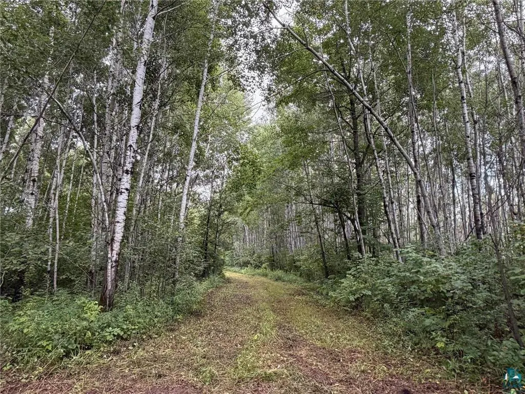 TBD County Rd 12, Moose Lake, MN 55767