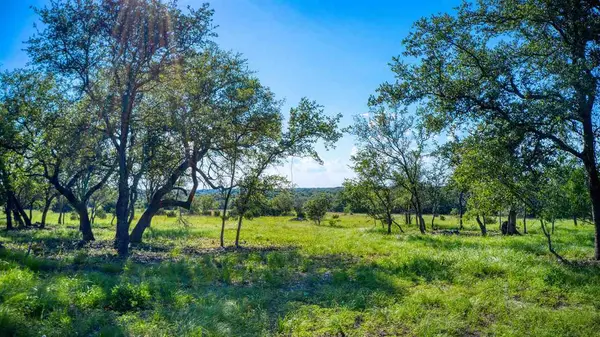 Lot 1 PH 2 CR 224, Briggs, TX 78608-0000