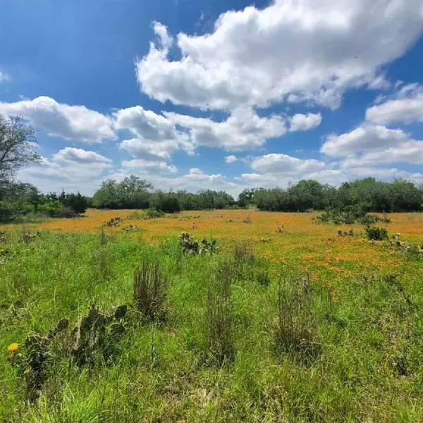 Tract 50-6 Miller Creek Ranch, Briggs, TX 78611