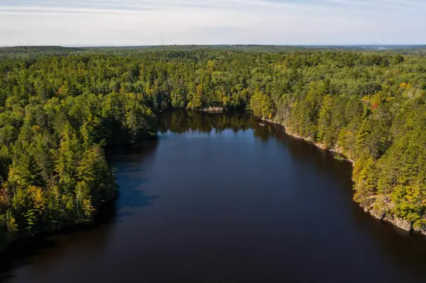 XX Sellwood Rd, Ely, MN 55731-8181