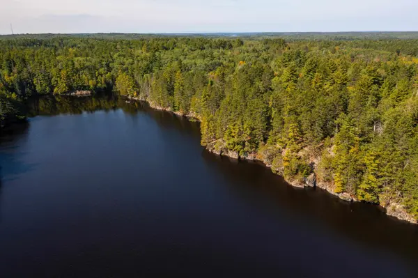 XX Sellwood Rd, Ely, MN 55731-8181