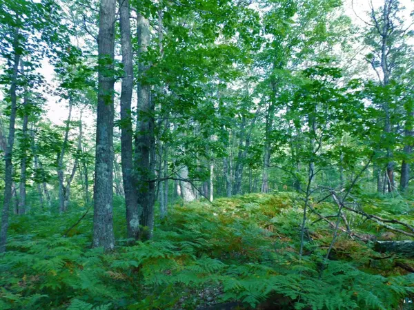 TBD Lot #2 Tressel Trail, Iron River, WI 54847