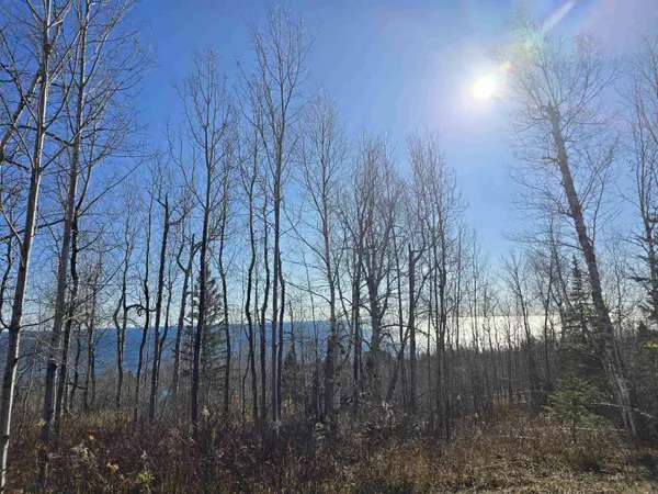 6669 Little Marais Trl, Silver Bay, MN 55614