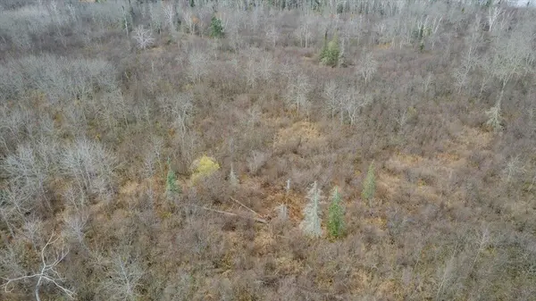 8303 Camp Amnicon Rd, South Range, WI 54874