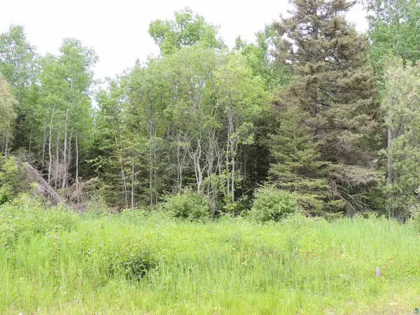 7XX County Rd 6, Grand Marais, MN 55604