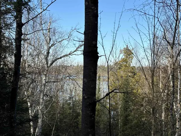 XXX10 Powerhouse Trail, Ely, MN 55731