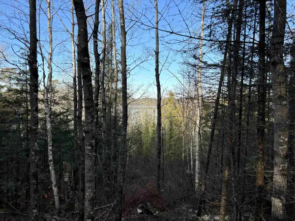 XXX10 Powerhouse Trail, Ely, MN 55731