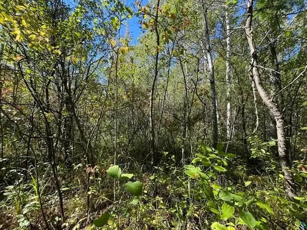1xxx Ellis Ave, Ashland, WI 54806