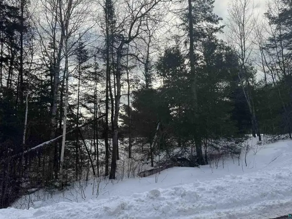 XXX A Locust Rd, Duluth, MN 55803