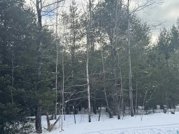 XXX B Locust Rd, Duluth, MN 55803