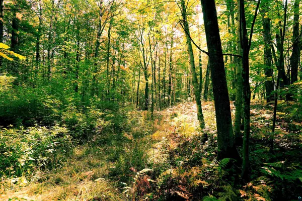 xxx County Hwy C, Washburn, WI 54891