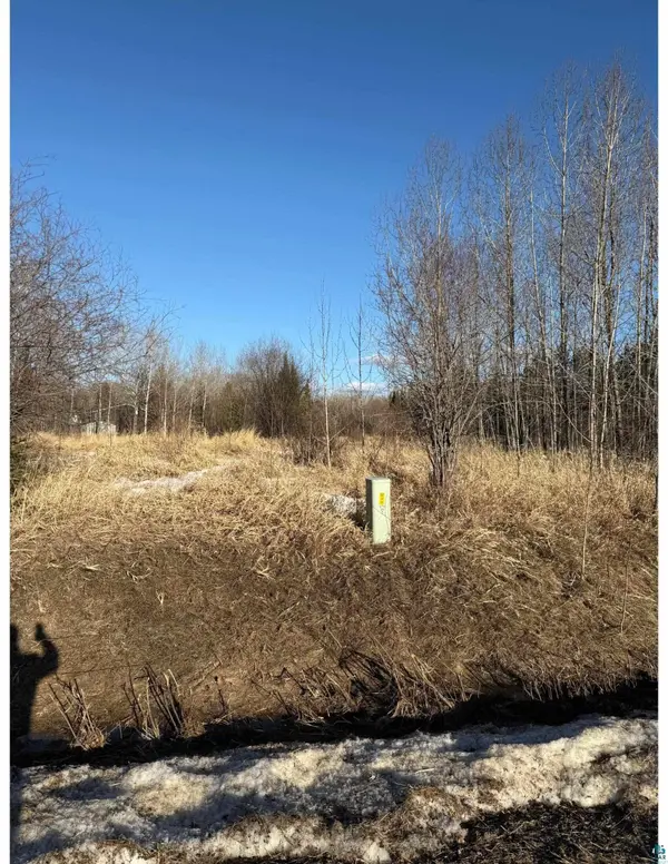 TBD Holland Dr, Aurora, MN 55705