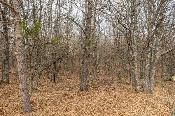 Lot 6 S Madison Ave, Wascott, WI 54838