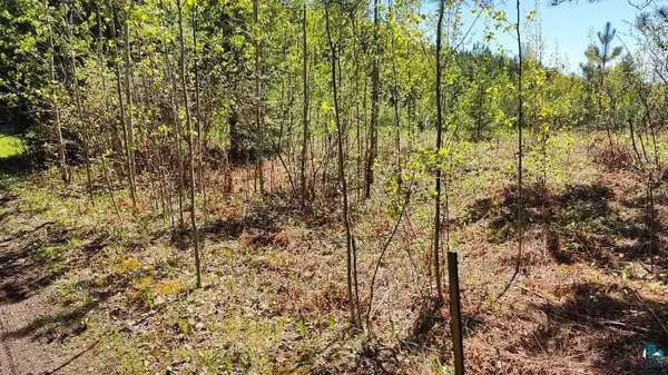80012 Conifer Crest, Tower, MN 55790