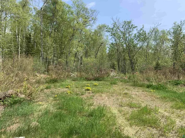 78 Troll's Tr, Hovland, MN 55606