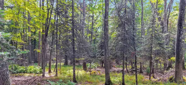 657 Spruce Ln, La Pointe, WI 54850