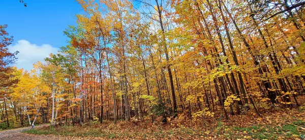 xxx Apple Hill Rd, Bayfield, WI 54814