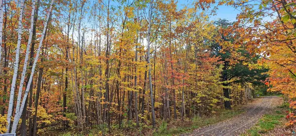 xxx Apple Hill Rd, Bayfield, WI 54814