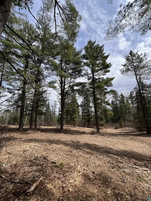 XXXX Camp House Rd, Brimson, MN 55602