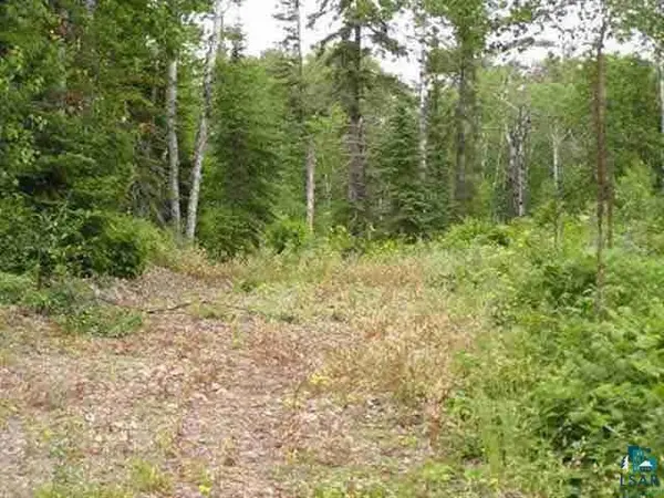 1687 Golden Ridge Tr, Ely, MN 55731