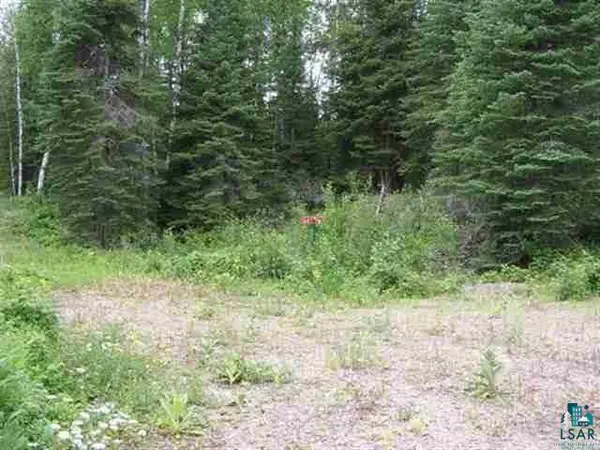1687 Golden Ridge Tr, Ely, MN 55731