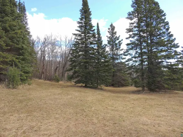 XXX Springdale Rd, Tofte, MN 55615