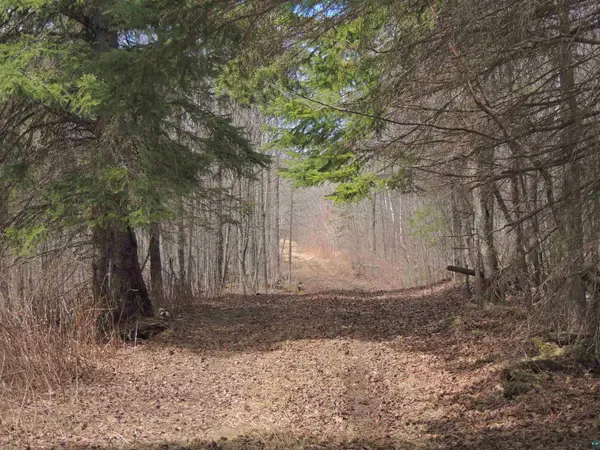 XXX Springdale Rd, Tofte, MN 55615