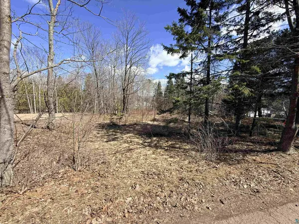 419 W Quince St, Duluth, MN 55811-000