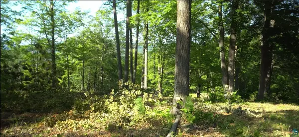 83xxx Ashwabay Heights Rd, Bayfield, WI 54814
