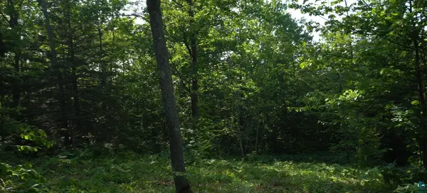 83xxx Ashwabay Heights Rd, Bayfield, WI 54814