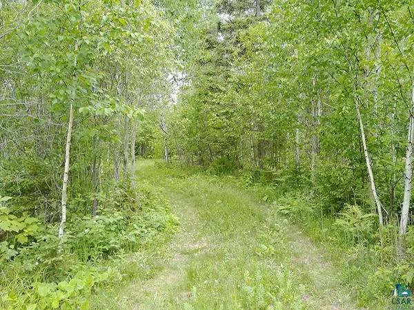2xx Overlook Tr, Tofte, MN 55615