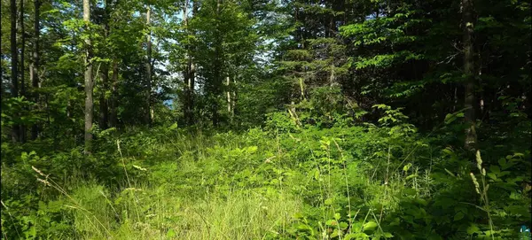 83xxx Ashwabay Heights Rd, Bayfield, WI 54814