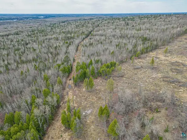 TBD Pebble Pl, Gilbert, MN 55741-0000