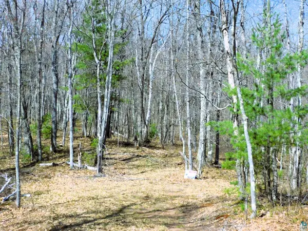 XXXX Polkoski Way, Iron River, WI 54847