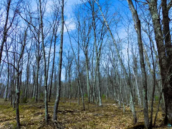 XXXX Polkoski Way, Iron River, WI 54847