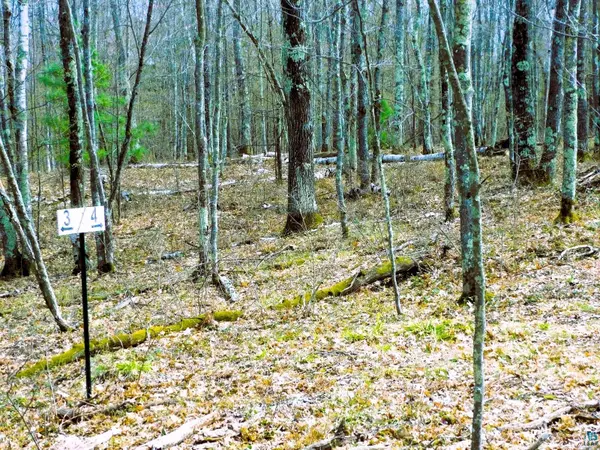 XXXX Polkoski Way, Iron River, WI 54847